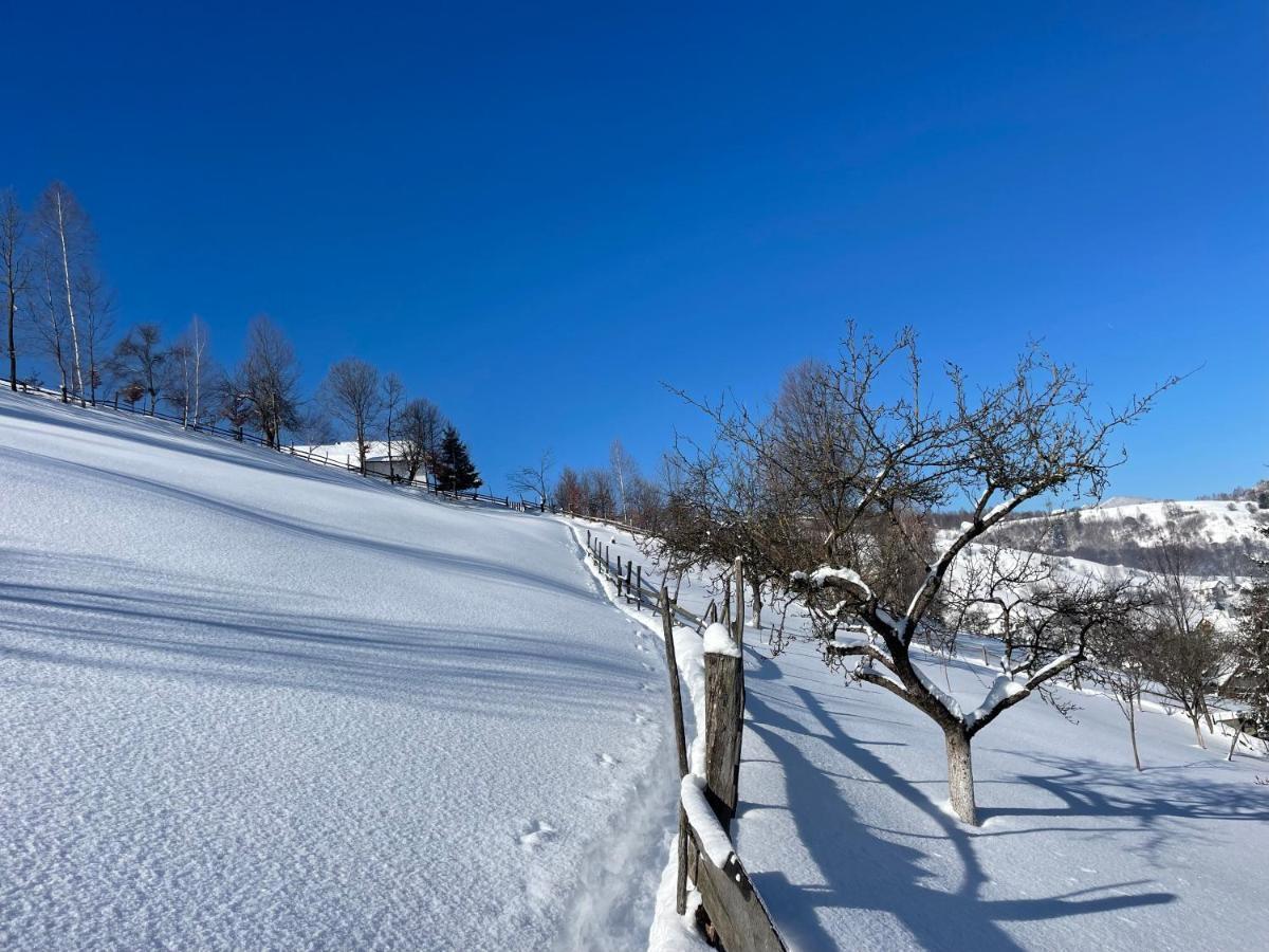 Bran Place La Odaie Шимон Екстериор снимка
